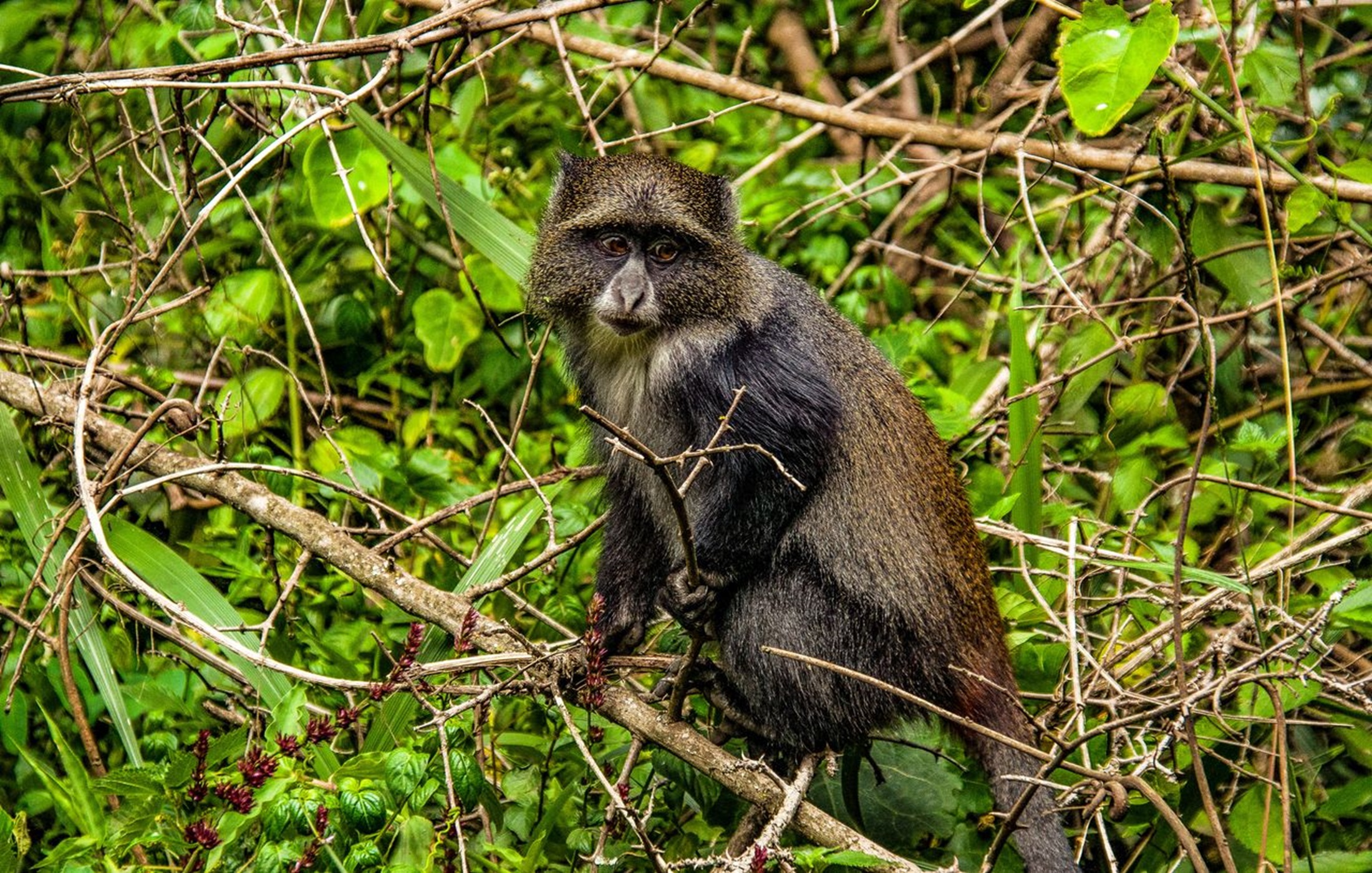 Tarangire National Park